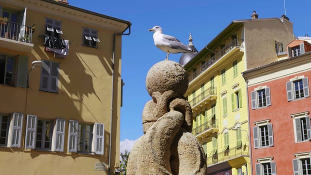 White seagull standing on a stone sphere of a fountain in a square of nice, france