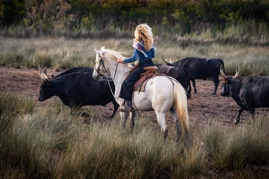 Cowboy carrying a long cattle prod near a herd of bulls, Camargue, France