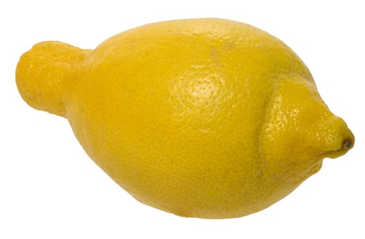Whole lemon with a yellow, textured peel and a small stem,  isolated  background. Fruit has an elongated shape