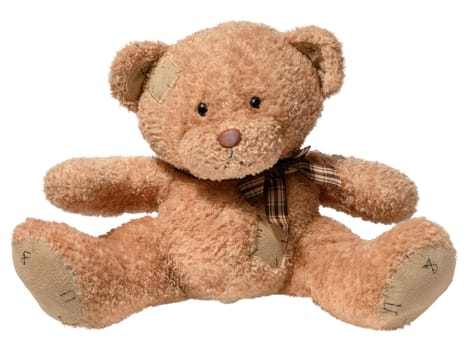 Brown teddy bear sitting on isolated background, children's toy
