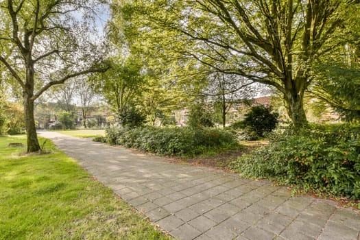 A beautiful park pathway gently winds through vibrant green trees and bushes, creating a tranquil outdoor setting ideal for relaxation and nature appreciation.