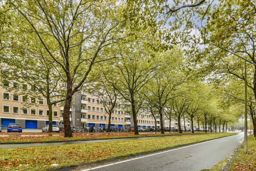 A picturesque street flanked by trees, featuring modern buildings and a clear sky. The scene captures urban life harmoniously paired with nature.