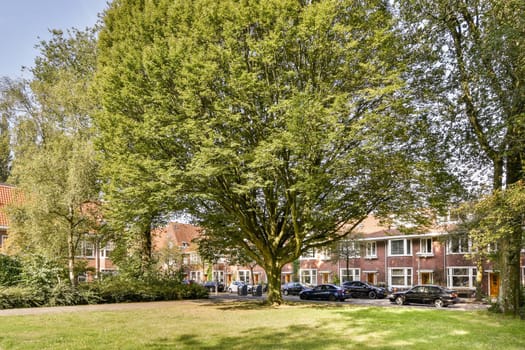 A vibrant neighborhood scene featuring lush green trees, residential buildings, and parked cars, creating a peaceful urban environment.