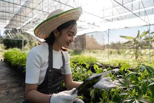 A young woman uses a tablet to manage agricultural tasks in a greenhouse, showcasing modern farming techniques.