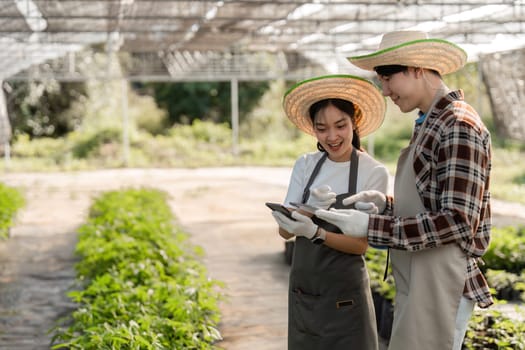 A couple utilizes modern technology to grow an herbal garden, blending innovation with nature in a greenhouse environment.