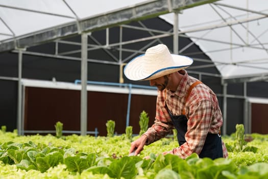 A gardener tends to organic vegetables in a greenhouse, showcasing sustainable farming and fresh produce cultivation.