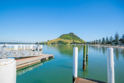 Dog asleep on pier of Salisbury Wharf at one end of Pilot Bay Mount Maunganui