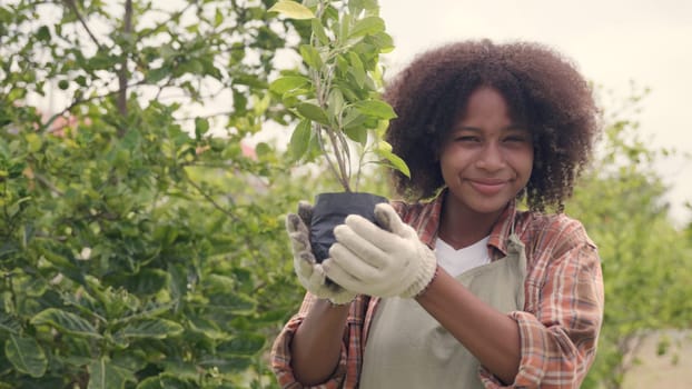 Happy children farmer hand holdig big tree growing in hydroponics farm, Biotechnology kid plant seedling spring gardening, environment earth day in hands