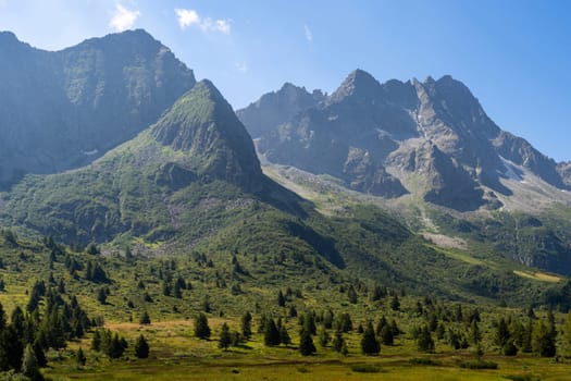 A breathtaking view of a towering mountain range with rugged peaks, verdant meadows, and dense pine forests under a clear blue sky, capturing the essence of natural beauty