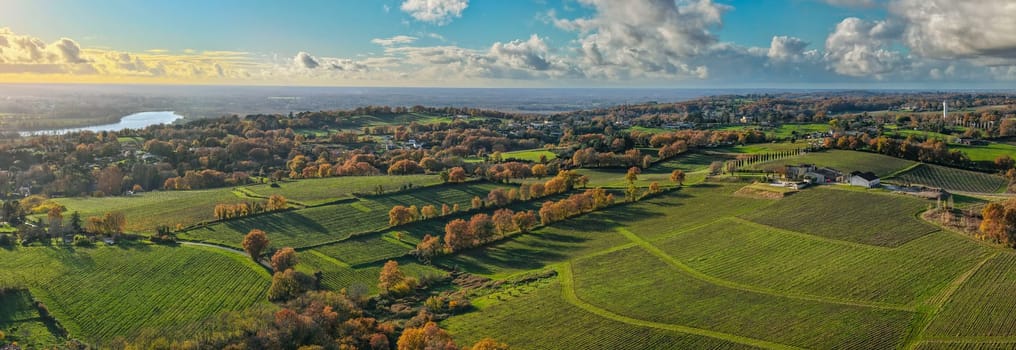 France, Gironde, Tabanac, Aerial view of the vineyard and wooded areas of Chateau le Pic in the Bordeaux vineyards at sunset. High quality photo