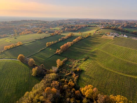 France, Gironde, Tabanac, Aerial view of the vineyard and wooded areas of Chateau le Pic in the Bordeaux vineyards at sunset. High quality photo
