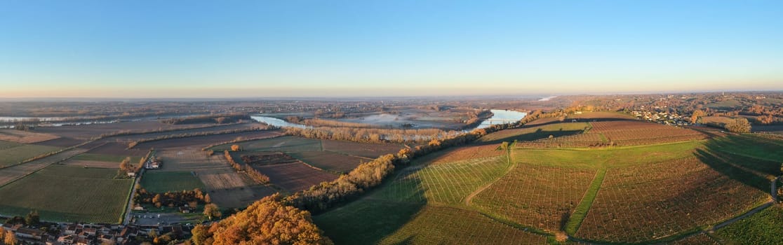 France, Gironde, Haut-Langoiran, Aerial view of the vineyard and wooded areas of Chateau de Langoiran in the Bordeaux vineyards at sunrise
