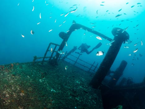 diver diving among fishes and the remains of a sunken ship in the ocean, concept of underwater adventure and active leisure lifestyle