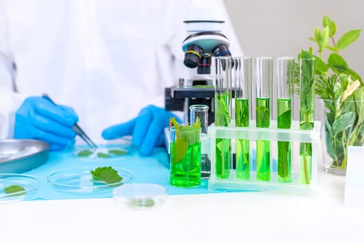 Research of plants in the laboratory. Selective focus. nature.