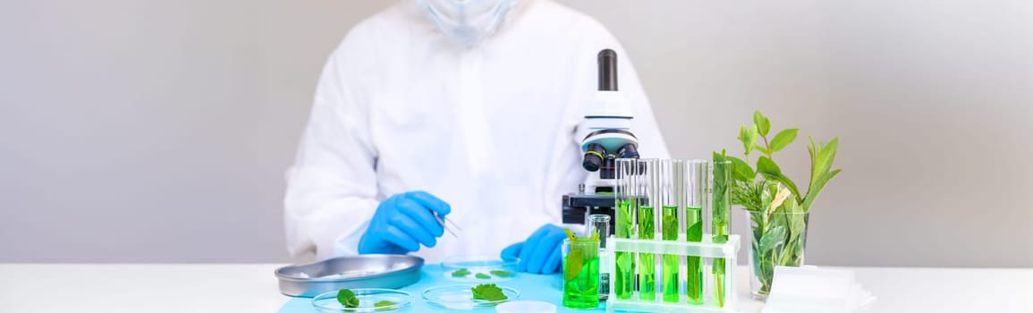Research of plants in the laboratory. Selective focus. nature.