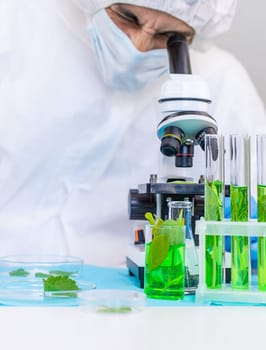 Research of plants in the laboratory. Selective focus. nature.