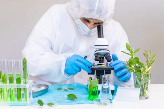 Research of plants in the laboratory. Selective focus. nature.