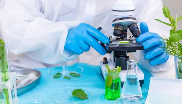 Research of plants in the laboratory. Selective focus. nature.