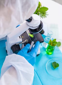 Research of plants in the laboratory. Selective focus. nature.