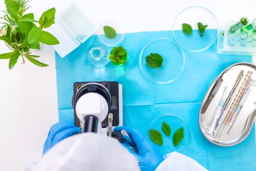 Research of plants in the laboratory. Selective focus. nature.