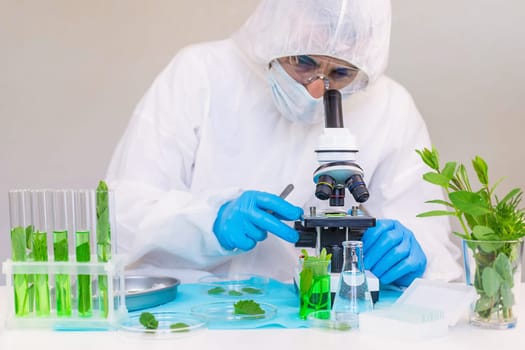 Research of plants in the laboratory. Selective focus. nature.