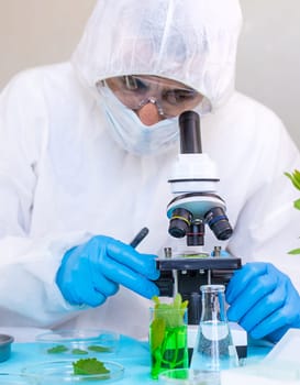 Research of plants in the laboratory. Selective focus. nature.