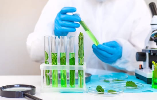 Research of plants in the laboratory. Selective focus. nature.