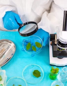 Research of plants in the laboratory. Selective focus. nature.