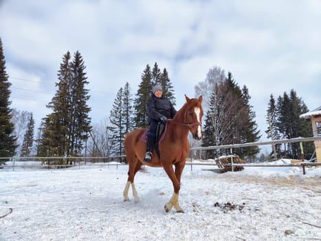 Rider on a brown horse navigates through snowy terrain with tall trees in the background on a chilly winter day.