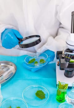 Research of plants in the laboratory. Selective focus. nature.