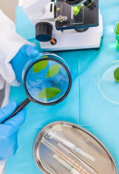 Research of plants in the laboratory. Selective focus. nature.