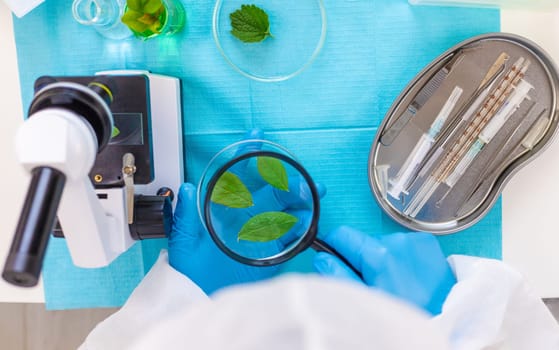 Research of plants in the laboratory. Selective focus. nature.