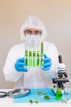Research of plants in the laboratory. Selective focus. nature.