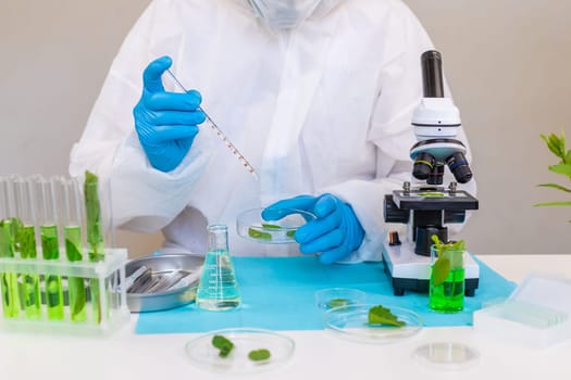 Research of plants in the laboratory. Selective focus. nature.
