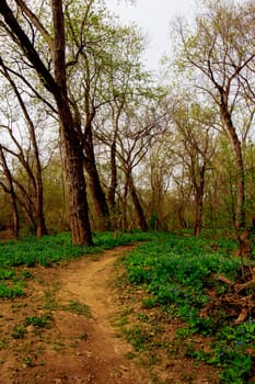 Views from the Bluebell Trail, Three Creeks Metro Park, Columbus, Ohio