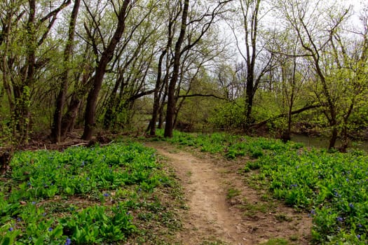 Views from the Bluebell Trail, Three Creeks Metro Park, Columbus, Ohio