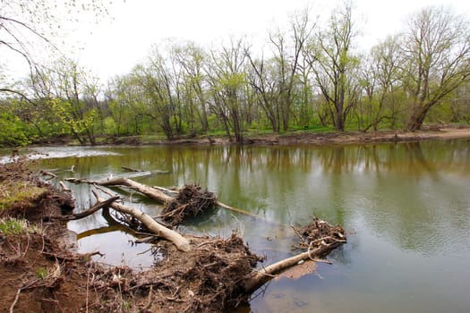 Views from the Bluebell Trail, Three Creeks Metro Park, Columbus, Ohio