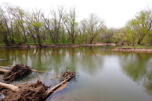 Views from the Bluebell Trail, Three Creeks Metro Park, Columbus, Ohio