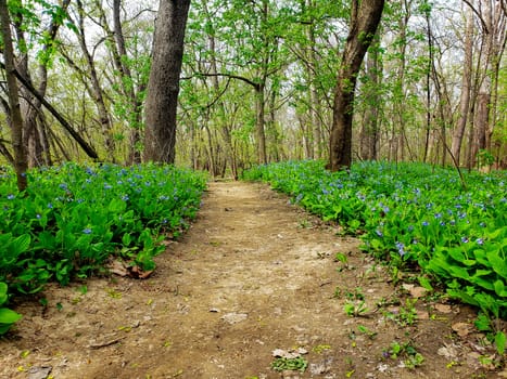 Views from the Bluebell Trail, Three Creeks Metro Park, Columbus, Ohio