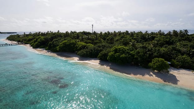 Turquoise clear water and the green island of Maldives. Top view of the ocean and the reef. Palm trees grow on the island. There are bungalows and villas. White sand on the beach. Fish are visible