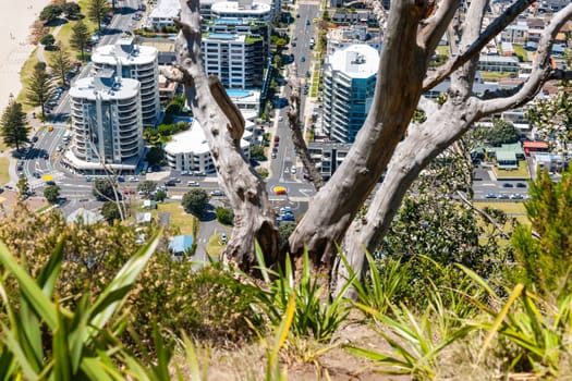 View from top of Mount Maunganui over high-rise commercial and apartment building below New Zealand.