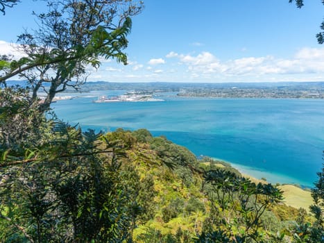 View from top of Mount Maunganui western slope looking over harbour and Tauranga city, New Zealand.