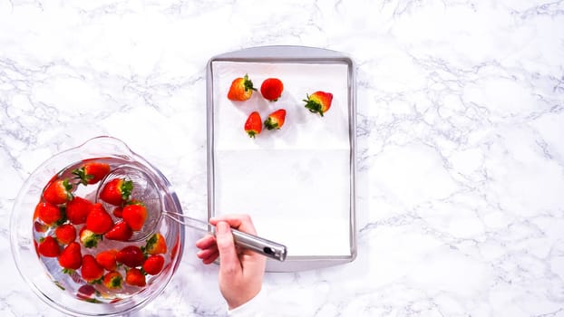 Flat lay. Juicy red strawberries, freshly washed, are spread out to dry on a baking sheet, carefully lined with paper towels to absorb excess moisture and prevent mold.