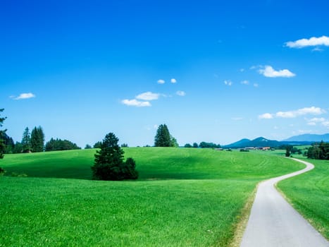 Bavarian hilly landscape with a hiking trail winding into the distance.