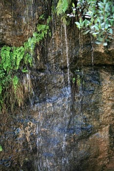 A fragment of a rock with growing greenery, a stream flowing down from top to bottom over the rocks.