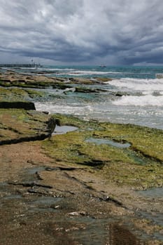 Seascape of rocky beach with green algae against cloudy sky.