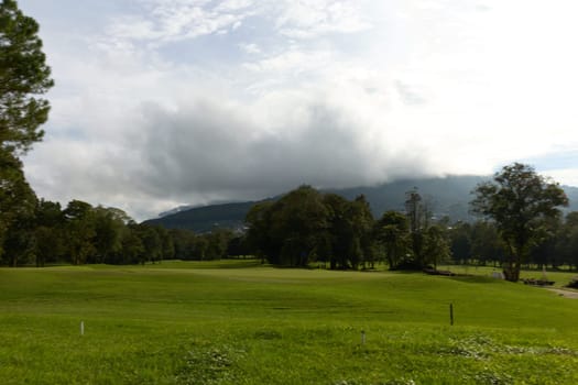 Expansive golf course terrain with vibrant green grass, majestic trees, rolling hills, and a cloudy sky, ideal for golfers and nature lovers seeking tranquility while enjoying outdoor sports