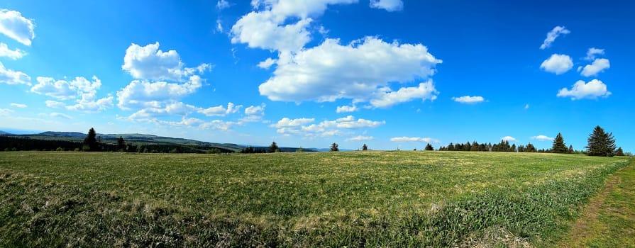 panorama of beautiful countryside of Rhoen, Hesse, Germany. sunny afternoon. wonderful springtime landscape in mountains. grassy field and rolling hills. rural scenery. High quality photo