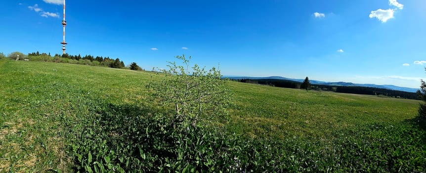 panorama of beautiful countryside of Rhoen, Hesse, Germany. sunny afternoon. wonderful springtime landscape in mountains. grassy field and rolling hills. rural scenery. High quality photo