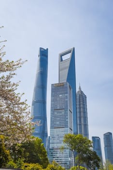 Shanghai, China - 1 April 2025: The gleaming trio of Shanghai Tower, Jinmao Tower and SWFC stands majestically amidst blooming spring trees under a radiant blue sky, showcasing Pudong's iconic skyline